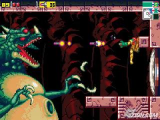 I once caught a lizard THIIIIIIS big!